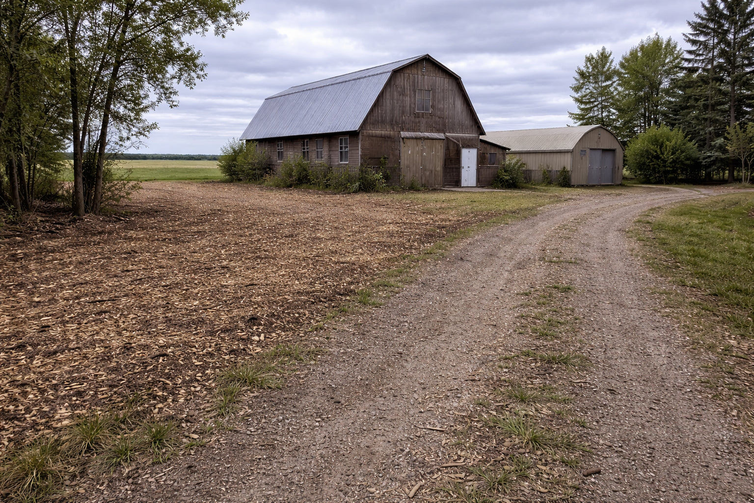 Farmstead Clearing — Brush cleared around both buildings and along the lane. Access restored, clean sight lines to the fields.