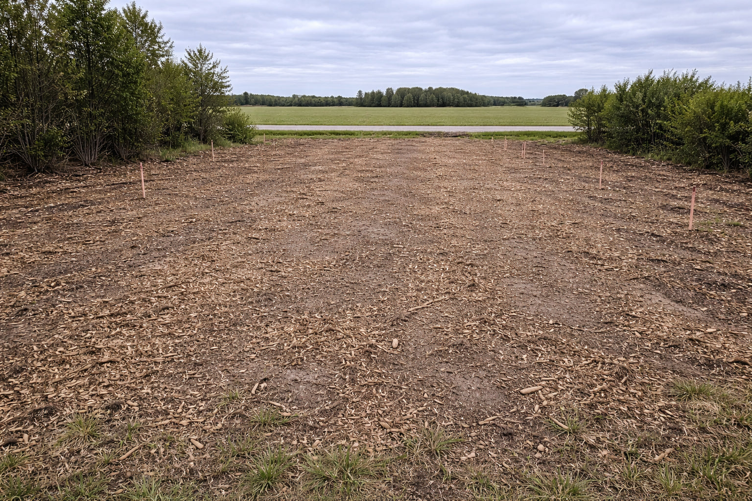 Pre-Build Site Prep — Lot cleared and mulched, survey stakes in. Dense scrub removed so the builder can get to work.